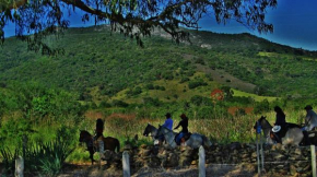 Fazenda da Roseta - Turismo Rural e Passeios a Cavalo -